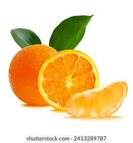 Oranges. Fresh, nutritious, tasty Orange. A delicious and healthy dessert. Elements for label design. Fruit ingredients in mesh technique. Vector illustration.