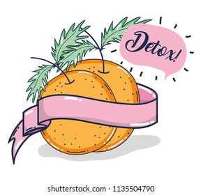 Oranges fruit cartoon