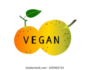 oranges fruit poster. Ecologic and nature sign. Healthy placard.