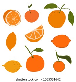 Oranges Fruit Vector Illustration for Graphic Design Art
