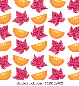 oranges fruits and leafs pattern background vector illustration design