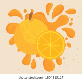 oranges fruits on juice splash vector illustration design