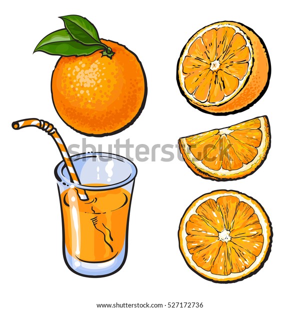 白い背景にオレンジと絞りたてのジュースのグラス スケッチスタイルのベクターイラスト 丸ごと 半分とスライスしたオレンジ ジュース セグメントのリアルな 手描きのセット のベクター画像素材 ロイヤリティフリー