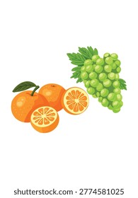 oranges and green grape bunch on white background minimalism