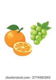 oranges and green grape bunch on white background minimalism