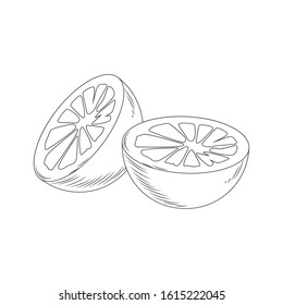 oranges in halves icon over white background, vector illustration