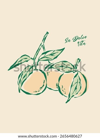 Oranges illustration with an aesthetic quote