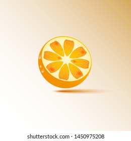 Oranges image. Citrus fruit. Vector icons