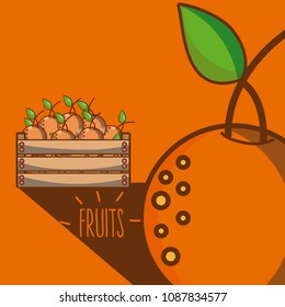 Oranges inside wooden box
