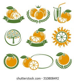Oranges labels and elements set. Vector