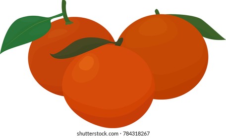 Oranges with leaves. cartoon whole oranges. Vector illustration.