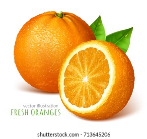 Oranges with leaves. Vector illustration.