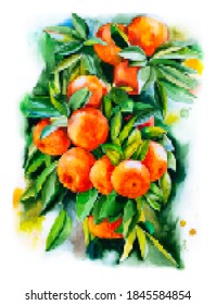 Orangen mit Blättern, Vektormosaik der ursprünglichen Aquarellmalerei. Mandarin, Tangerine, heller Druck für Stoff, Wanddekoration oder kreatives Design.