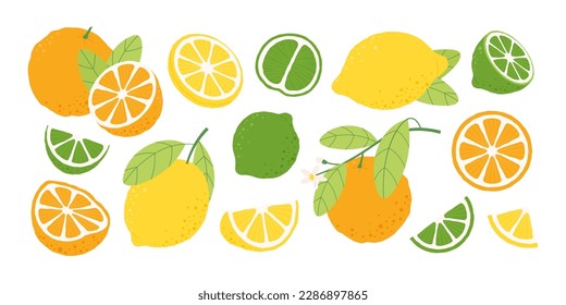 Frutas de limones naranjas, rodajas de limón y mitad. Rama de flor naranja, fruta fresca para jugo y dieta vitamínica. Naturaleza ligera cruda, racy vector clipart