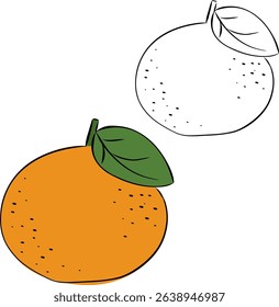 Oranges mandarin fruits with leave isolated on transparent background. Vector graphic line ink illustration. modern botanical illustration. Design for pattern, poster, card, fabric, banner, cover.
