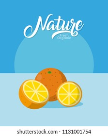 Oranges nature fruit