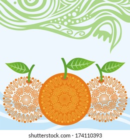 Oranges nature pattern background vector illustration