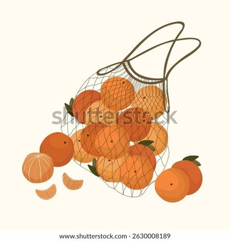 Oranges in net bag cartoon style isolated on white background illustration