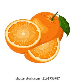 Oranges on a white background. Ripe fruit. Cartoon design.
