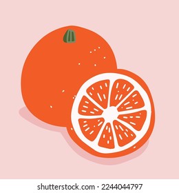 Oranges. Orange illustration. Element for different designs