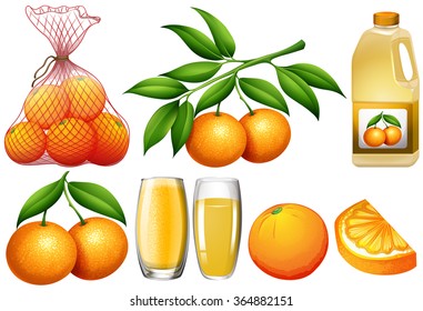 Oranges and orange products illustration