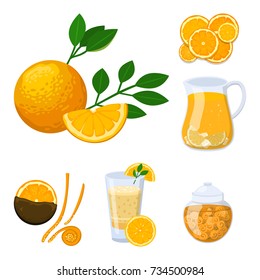 Oranges and orange products illustration natural citrus fruit vector juicy tropical dessert beauty organic juice healthy food.