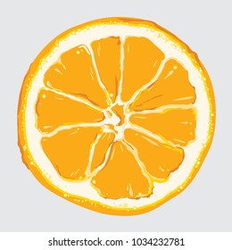 Oranges: orange slice, half cut orange and front view of cut ripe orange. Set of vector illustration.