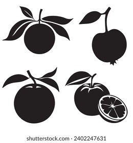 Oranges outlines and symbols. Dark level variety basic exquisite white foundation Oranges vegetable vector and silhouette icon.