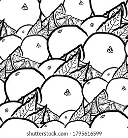 Oranges seamless pattern. Black and white hand drawn illustration. Icon sign for print and labelling.