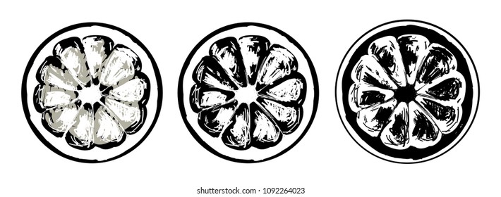 Oranges. Set of black and white vector images. Hand drawing.