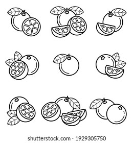 Oranges set. Collection icons orange. Vector