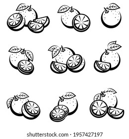 Oranges set. Collection icons orange. Vector
