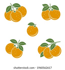 Oranges set. Collection icons orange. Vector