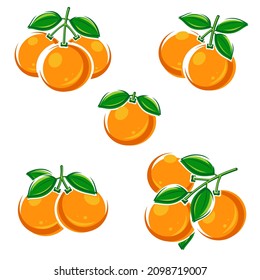 Oranges set. Collection icons orange. Vector