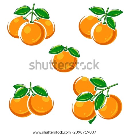 Oranges set. Collection icons orange. Vector