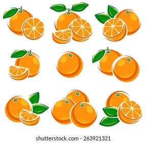 Oranges set. Vector