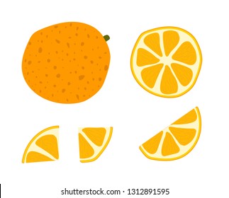 Oranges set. Whole, half, sliced, bitten fruits. Ink hand drawn vector illustration