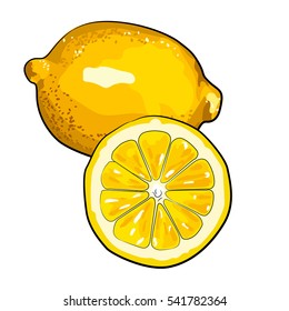 Oranges, sketch style vector illustration isolated on white background. Set of realistic hand drawings of whole, half ripe oranges, segment