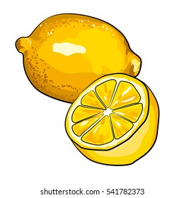 Oranges, sketch style vector illustration isolated on white background. Set of realistic hand drawings of whole, half ripe oranges, segment