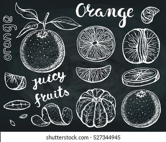 Oranges  sketch.Vector hand drawn vintage fruits. Sketch vectorand lettering, vegetarian food illustration.Retro outline style. Isolated slices, orange fruits. Chalkboard background