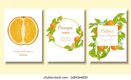 Oranges and  tangerines with flowers and vector fruit template background. Citrus collection card, postcard, label. 