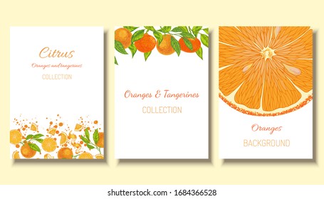 Oranges and  tangerines with flowers and vector fruit template background. Citrus collection card, postcard, label. 