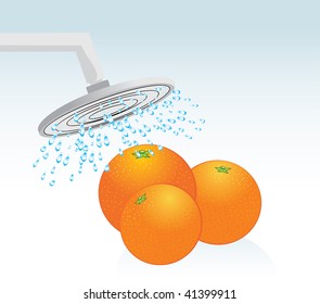 Oranges under a shower. Vector