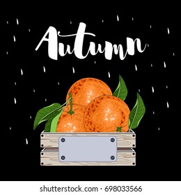 Oranges vector hand drawn sketch. Inscription. Sketch vector illustration of food.