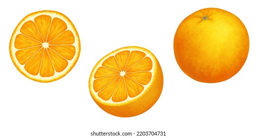 Apfelsinen. Vektorrealistische Illustration einzeln auf Weiß. Ganz, halb und in Scheiben einer reifen Orange. Zitrussaft-Set aus geschnittenen Stücken sauer frischer Früchte mit heller Schale.