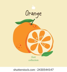 Oranges. Whole and half of orange on beige background. Colorful hand drawn vector illustration of fruits for textiles, cards, posters, prints