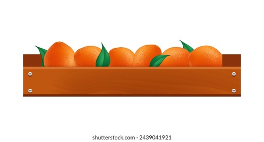 Oranges in a wooden box. Vector illustration isolated on white background.