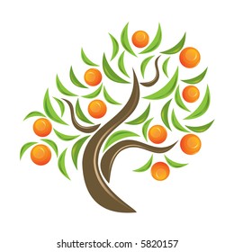 Orange-tree.