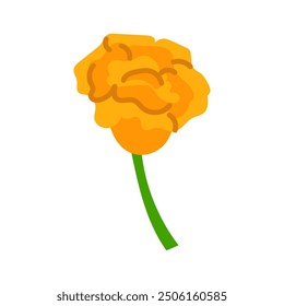 Orange-yellow calendula flower. A traditional Mexican national flower. Zendu flowers isolated on the background of the festive decor for Halloween, the Dia de los Muertos holiday. Vector illustration