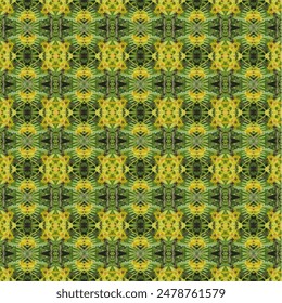 The orange-yellow petals are arranged to form a flower. Features a dark background that makes you feel refreshed, cheerful, and relaxed.